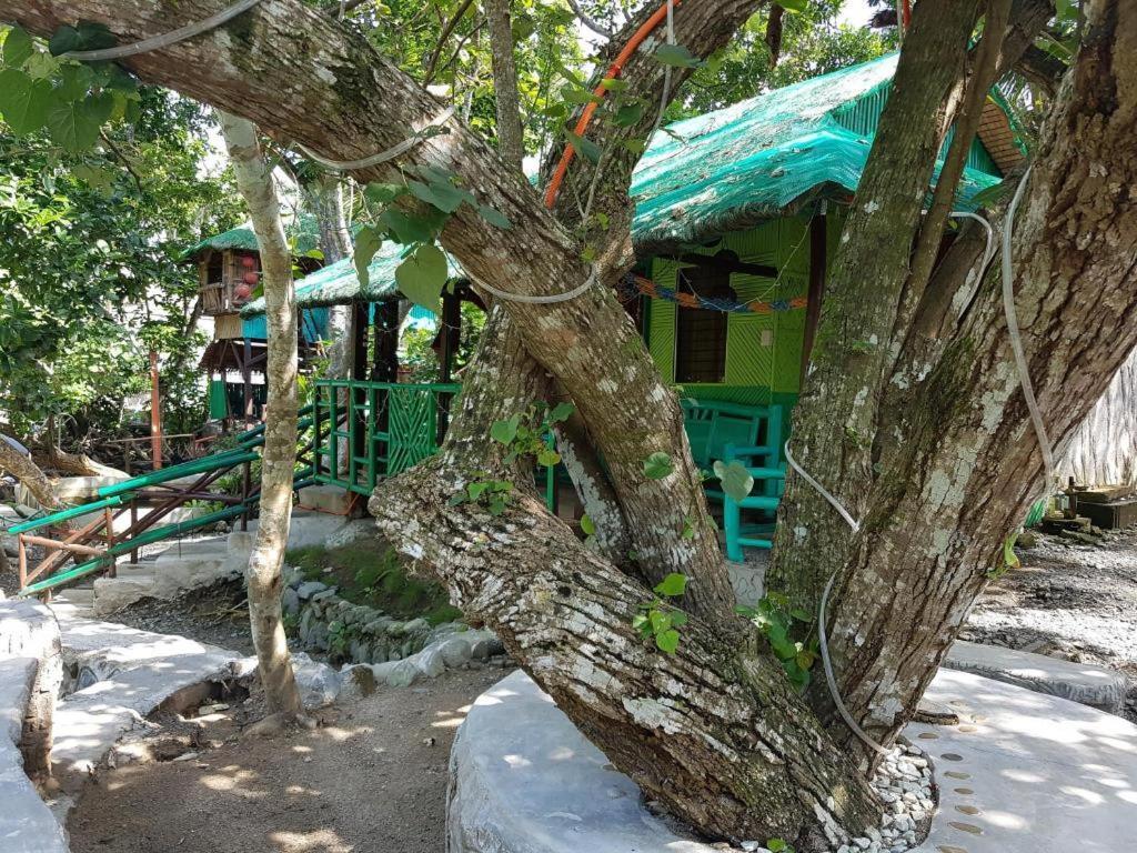 Nature Green Forest Resort Baler Exterior foto