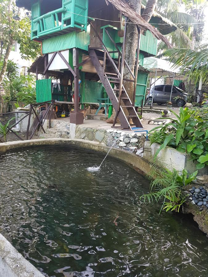 Nature Green Forest Resort Baler Zimmer foto
