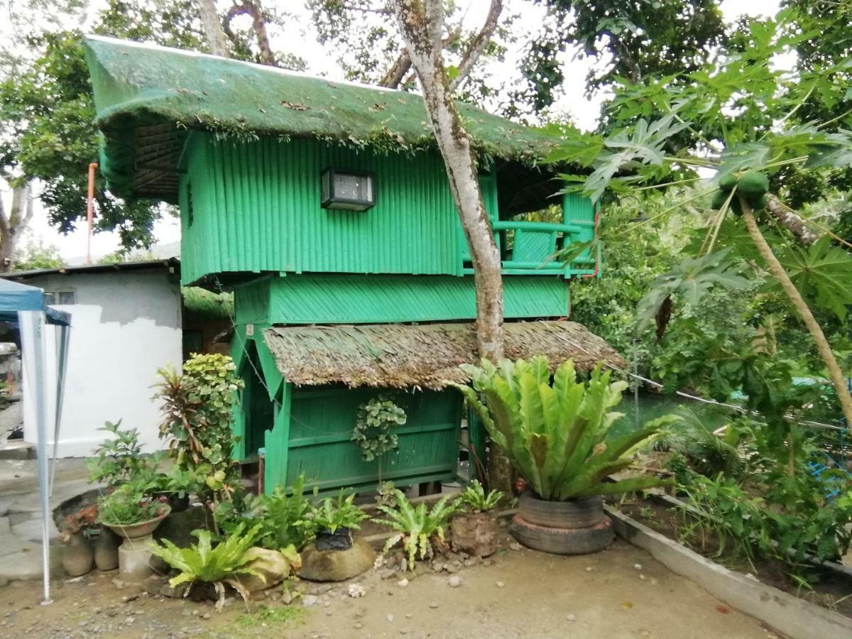 Nature Green Forest Resort Baler Exterior foto